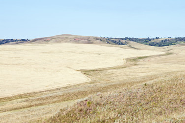 Similar image 12986225