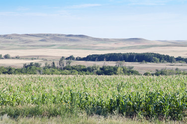 Similar image 12987543