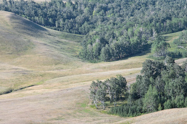 Similar image 12987544