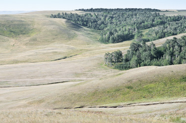 Similar image 12987545