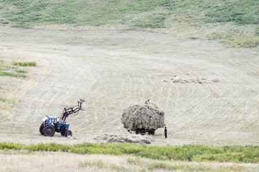 Similar image 12987588