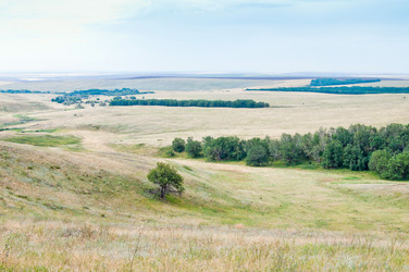 Similar image 12987589