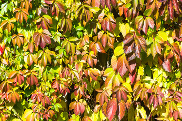 Similar image 12988789