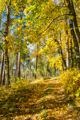 Similar image 12988810