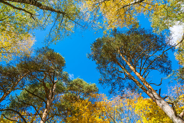 Similar image 12988811