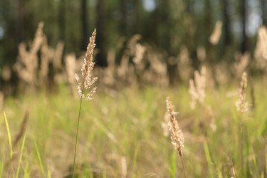 Similar image 12985139