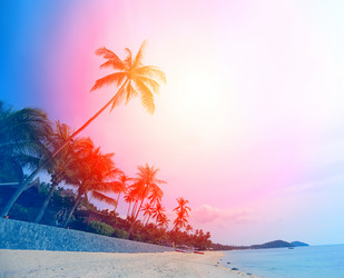 Similar image 12994755