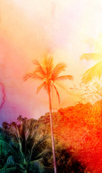 Similar image 12994756