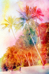 Similar image 12994757