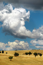 Similar image 12994776