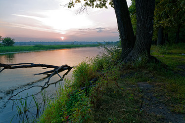 Similar image 12994461