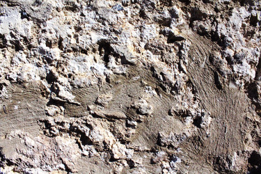 Similar image 12987868