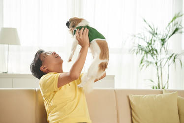 Similar image 12985932