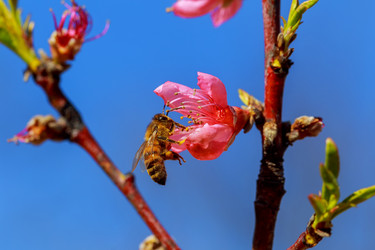 Similar image 12987734