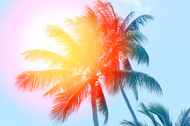 Similar image 12994746