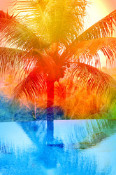 Similar image 12994748