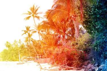 Similar image 12994750