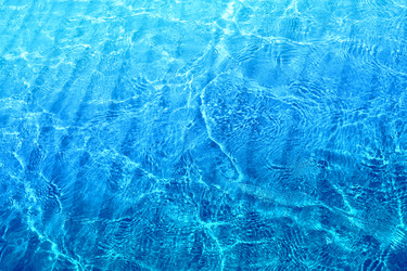 Similar image 12994753