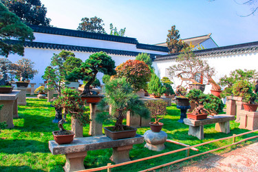 Similar image 12994557