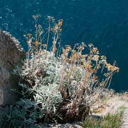 Similar image 12992023