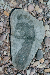 Similar image 12992024