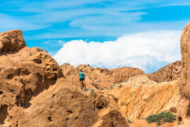 Similar image 12994804