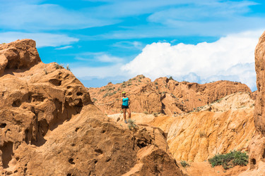 Similar image 12994805