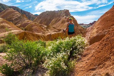 Similar image 12994809