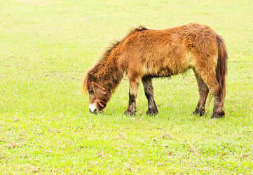 Similar image 12996071