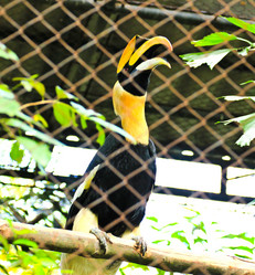 Similar image 12996057