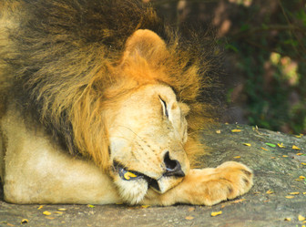 Similar image 12996060