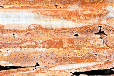 Similar image 12996086