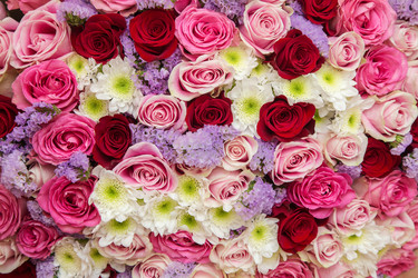 Similar image 12988127