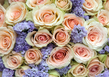 Similar image 12988128