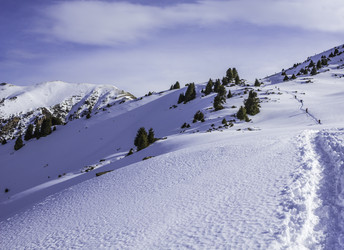 Similar image 12988171