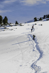 Similar image 12988176