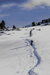 Similar image 12988177