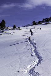 Similar image 12988178