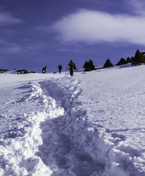 Similar image 12988179