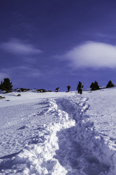 Similar image 12988180