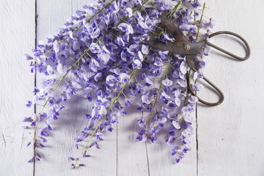 Similar image 12988651