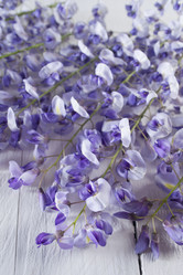 Similar image 12987884