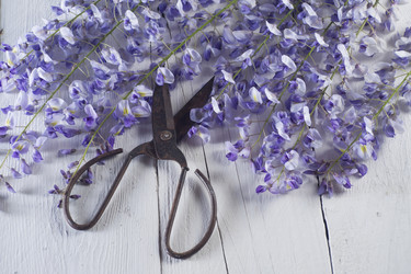 Similar image 12988652