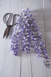 Similar image 12987886