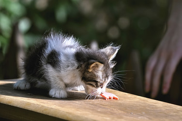 Similar image 12994564