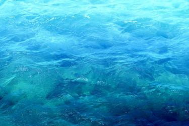 Similar image 12988284