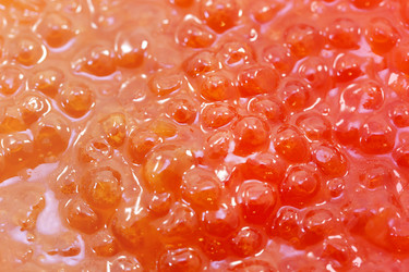 Similar image 12988364