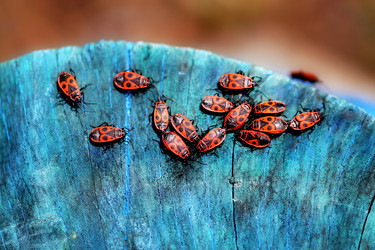 Similar image 12988387