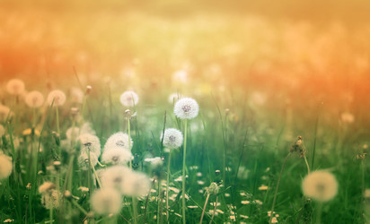 Similar image 12988389