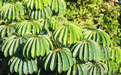 Similar image 12988391